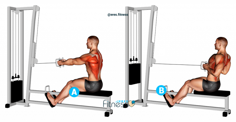 02391105 cable straight back seated row back max